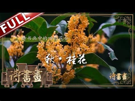 桂花象徵意義|桂花文化:文字記載,栽培歷史,神話傳說,詠桂佳作,象徵寓意,用途,品。